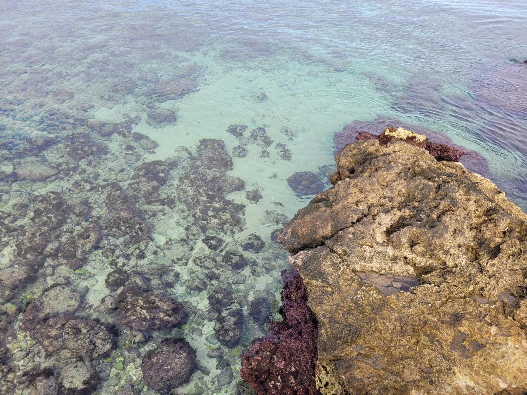 Cala Paradiso Монополи Экстерьер фото